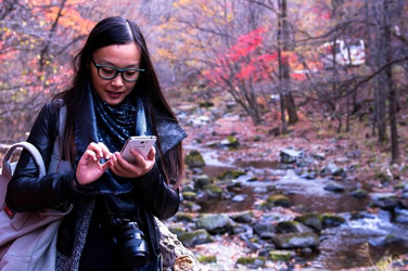 赵露思造梦免费网站主界面展示